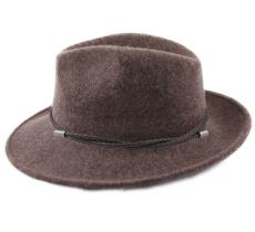 Mon Fedora
