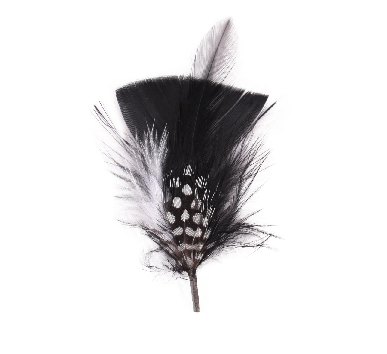 Plumes pour chapeau Plumes pour chapeau