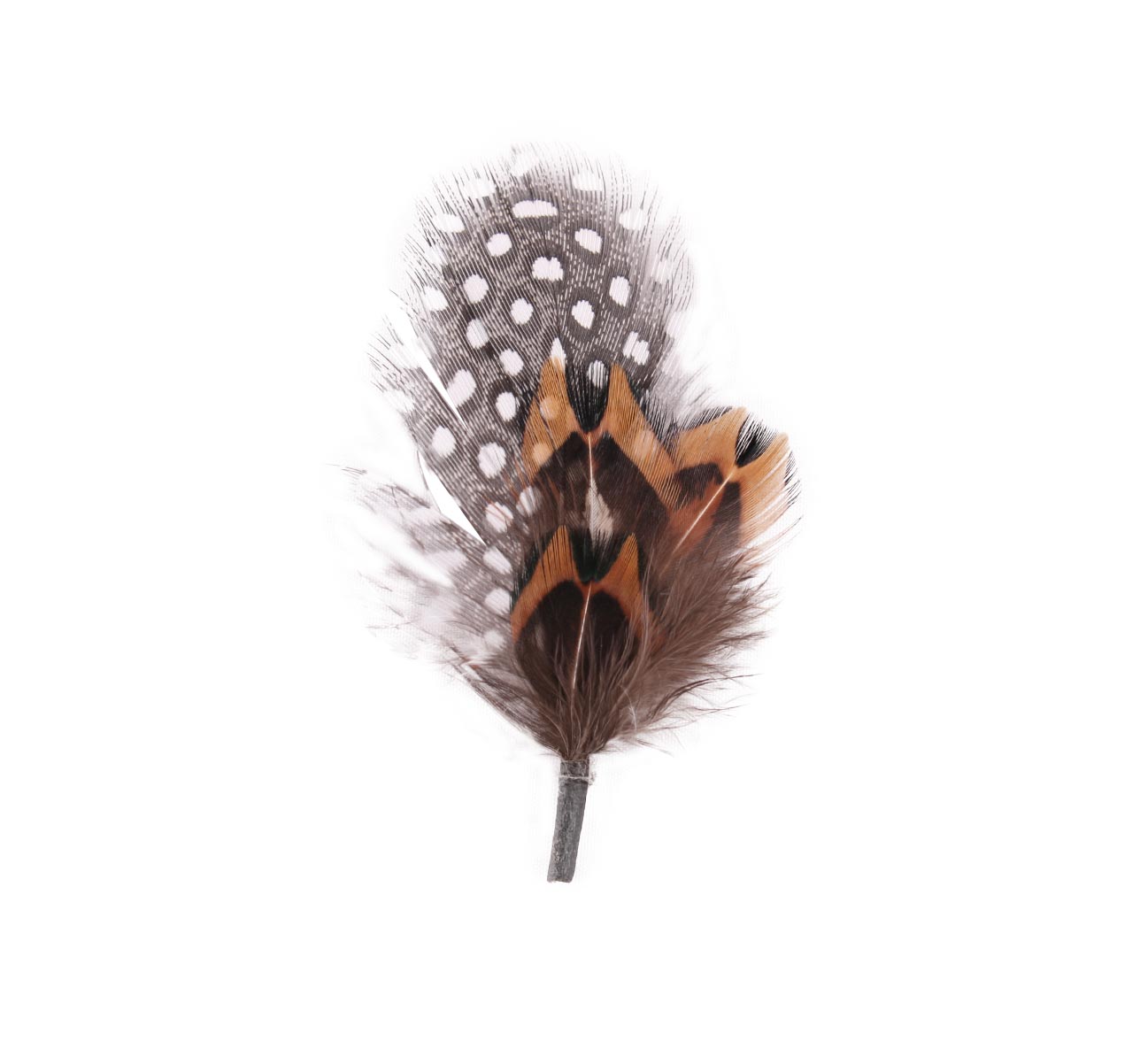Plumes pour chapeau Plumes pour chapeau
