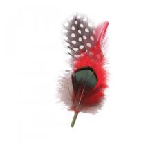 Plumes pour chapeau