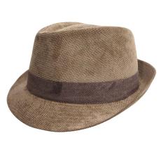 Classic Trilby Velours