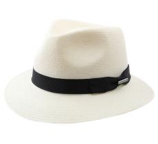 Stetson aripeka