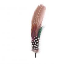 Duo de plumes