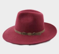 Mon fedora large