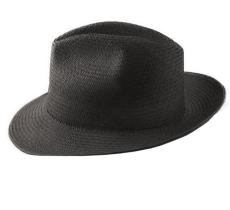 Mon Fedora Panama