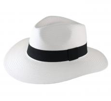 Classic Panasoft Travelle