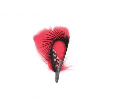 Duo de plumes