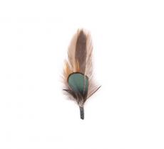 Duo de plumes