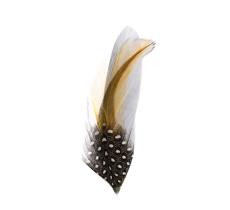 Plumes pour chapeau