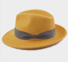 Mon Fedora