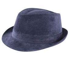 Classic Trilby Velours