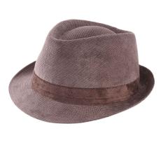 Classic Trilby Velours